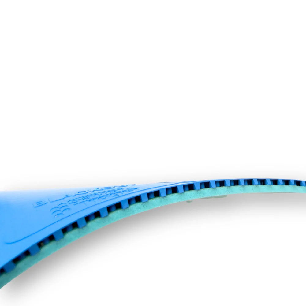 Sauer & Tröger Blackout