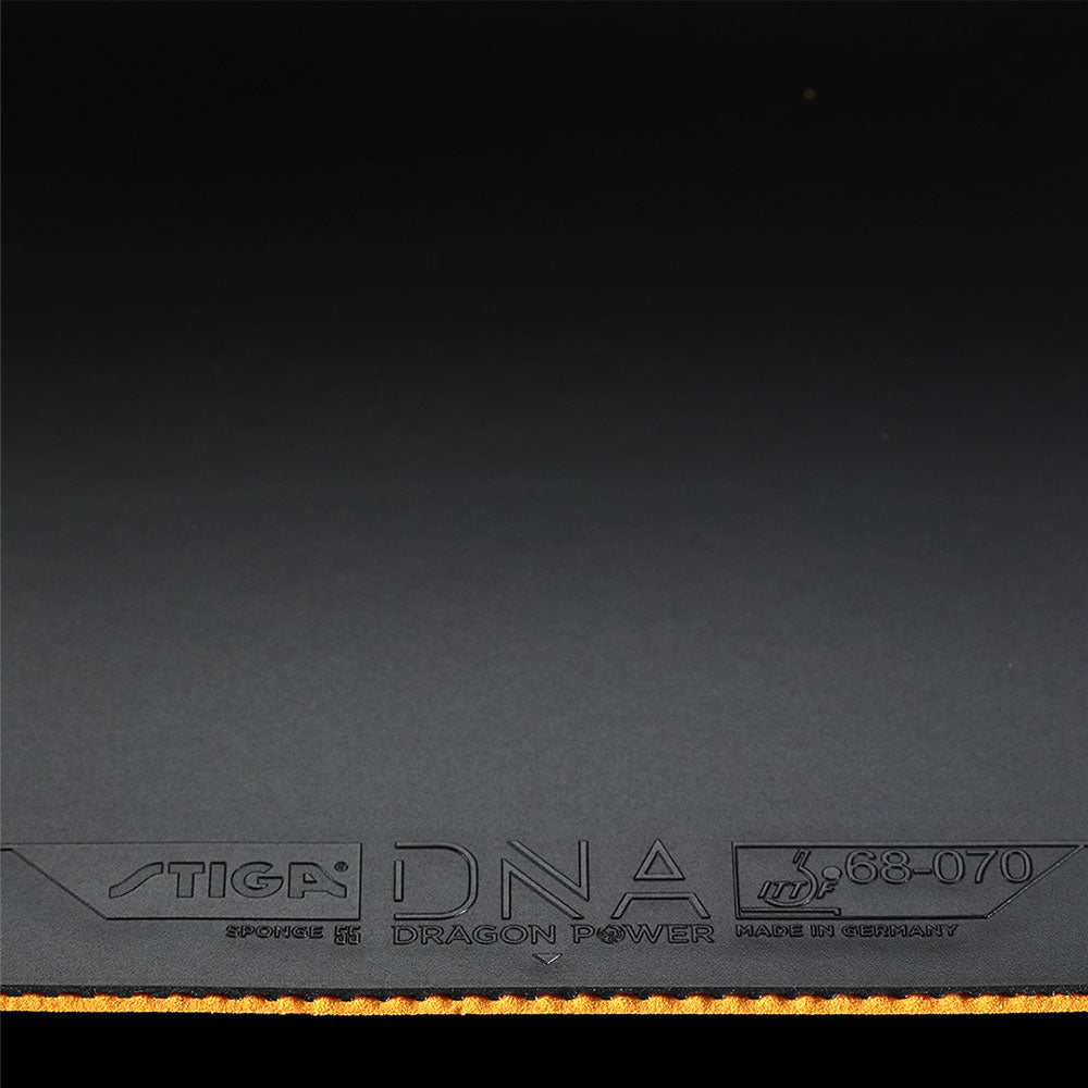 Stiga DNA Dragon Power 55